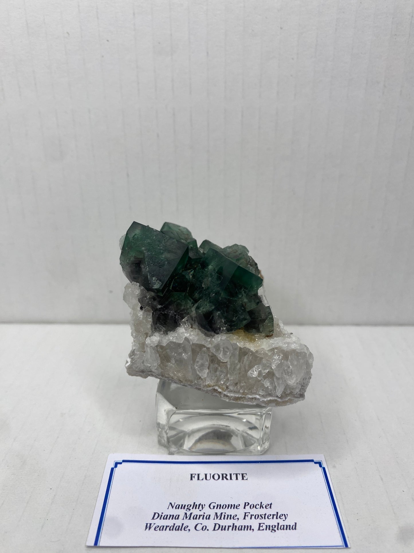 Naughty Gnome Fluorite - Diana Maria (black box)