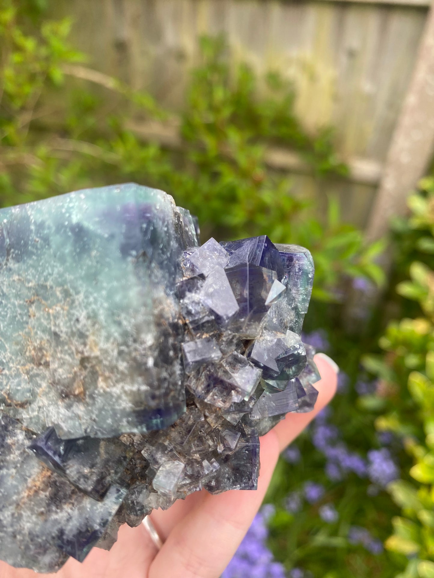 large Fairy Holes fluorite - Lady Annabella