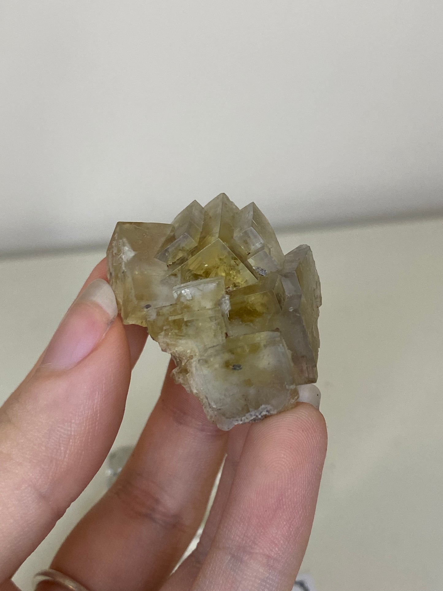 Harvest Pocket Fluorite cluster - Lady Annabella