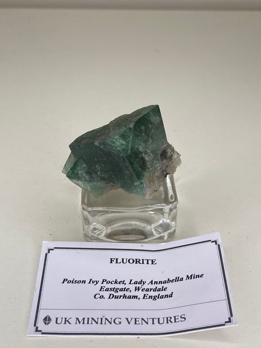 Poison Ivy Fluorite - Lady Annabella