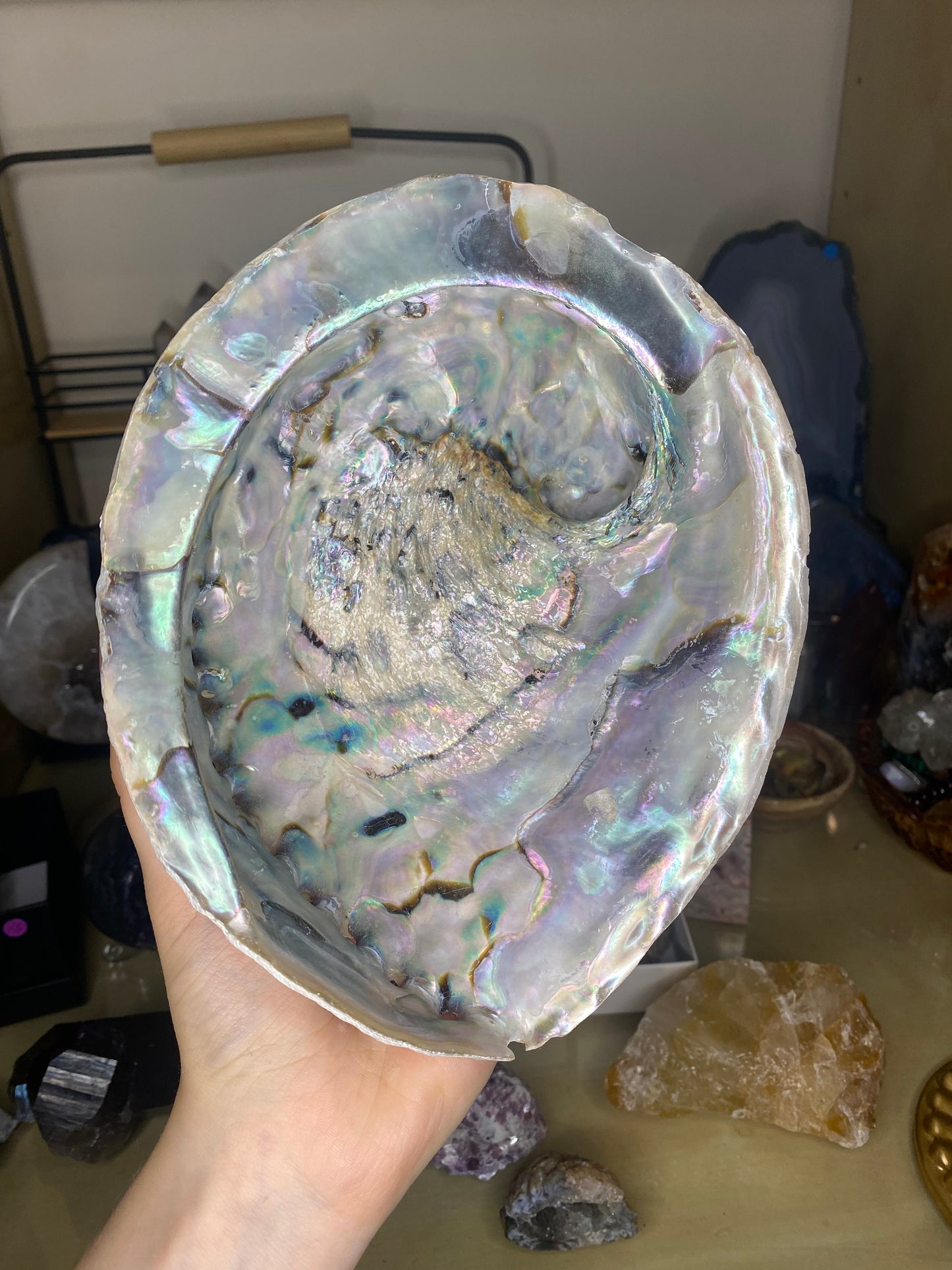 Shell bowl