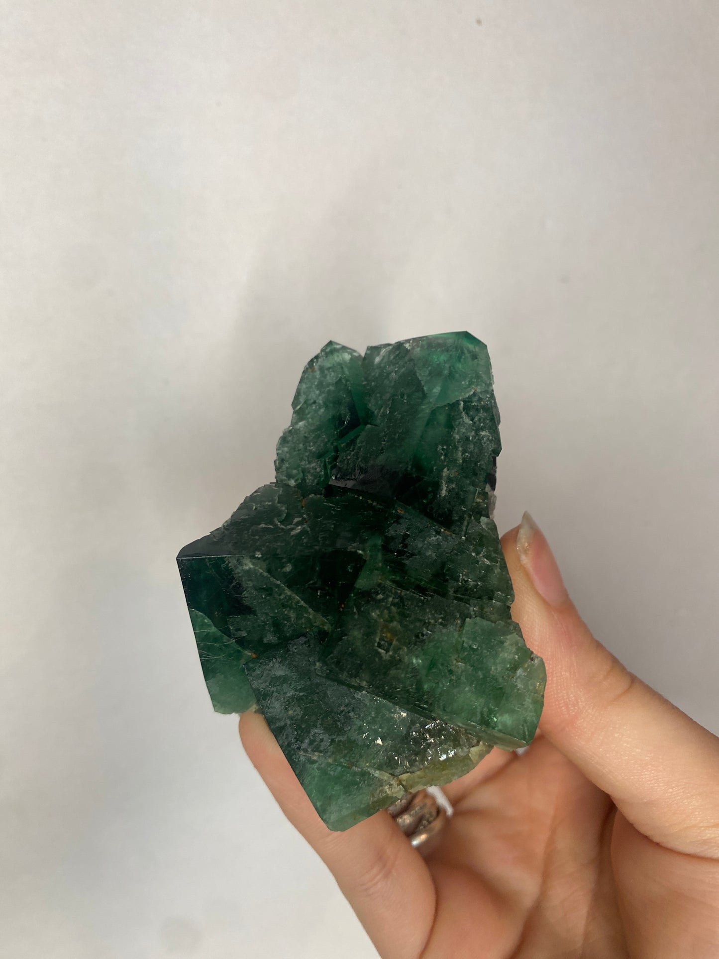 Truffle pig Fluorite - Diana Maria (black box)