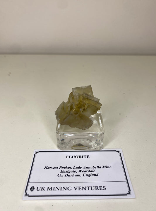 Harvest Pocket Fluorite cluster - Lady Annabella