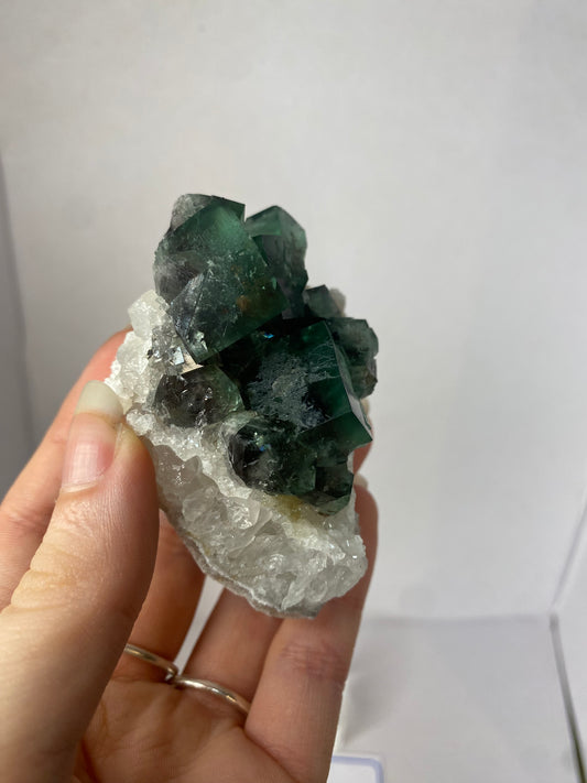 Naughty Gnome Fluorite - Diana Maria (black box)