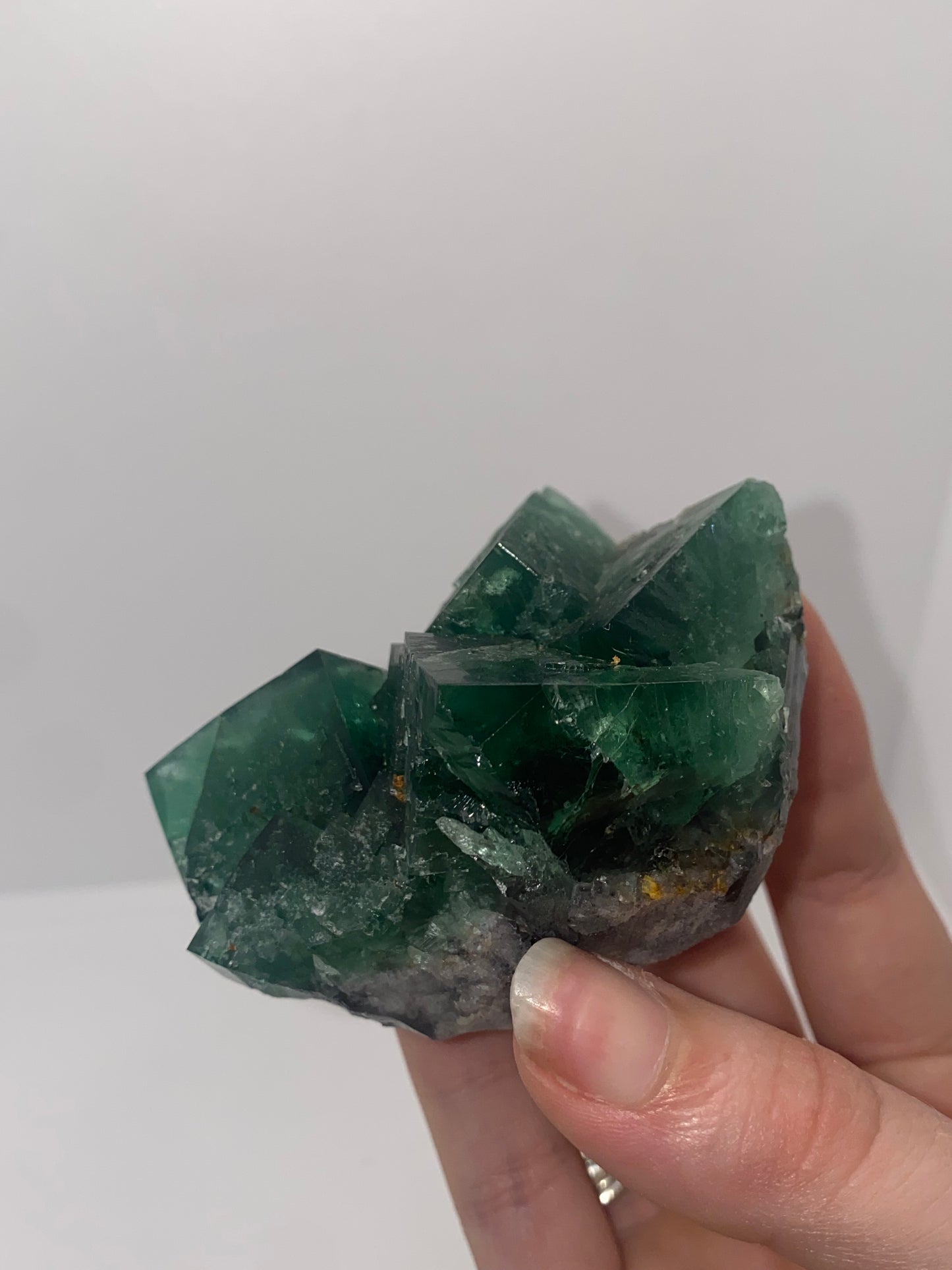 Truffle pig Fluorite - Diana Maria (black box)