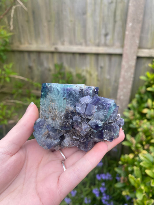 large Fairy Holes fluorite - Lady Annabella