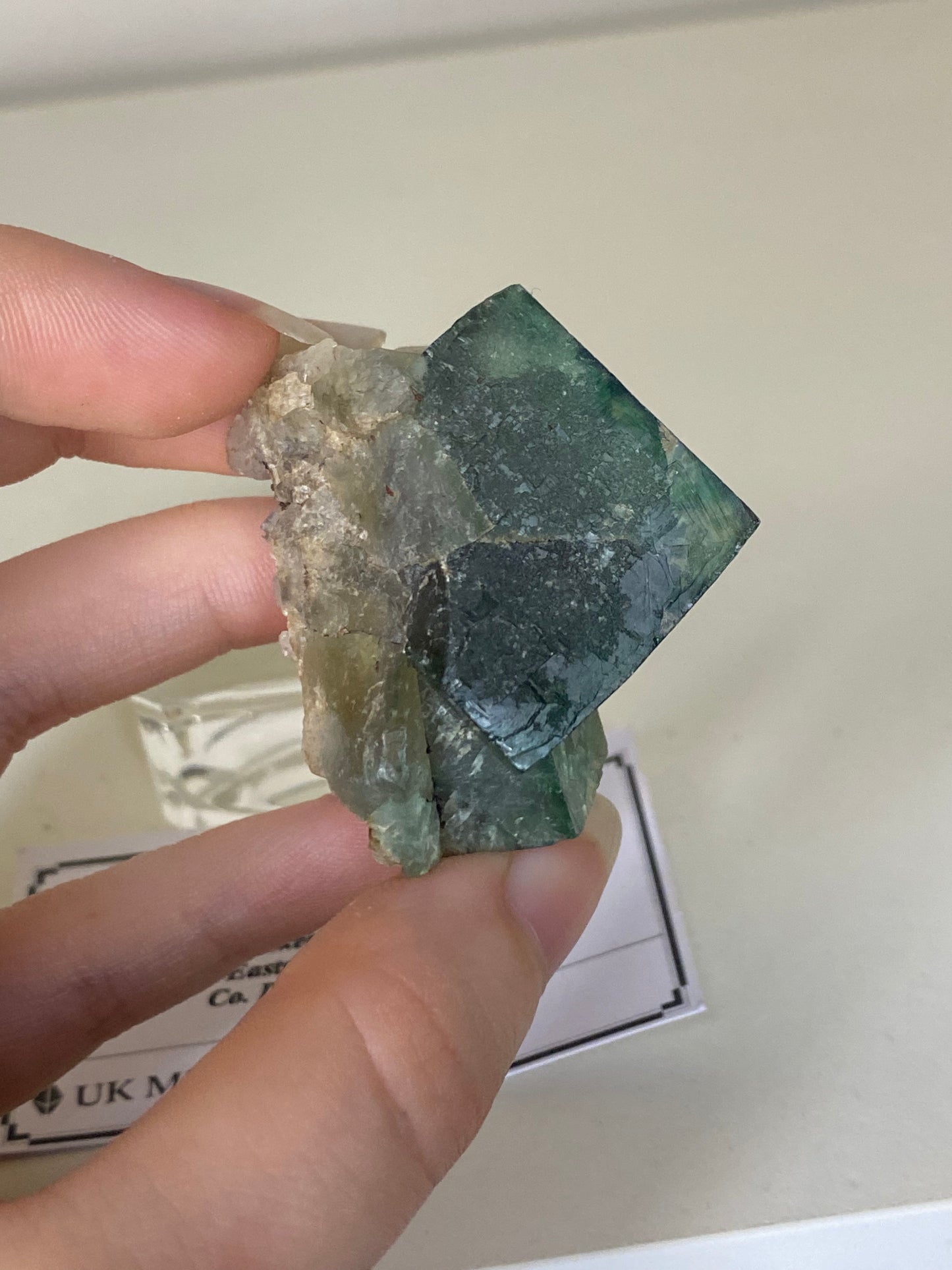 Poison Ivy Fluorite - Lady Annabella