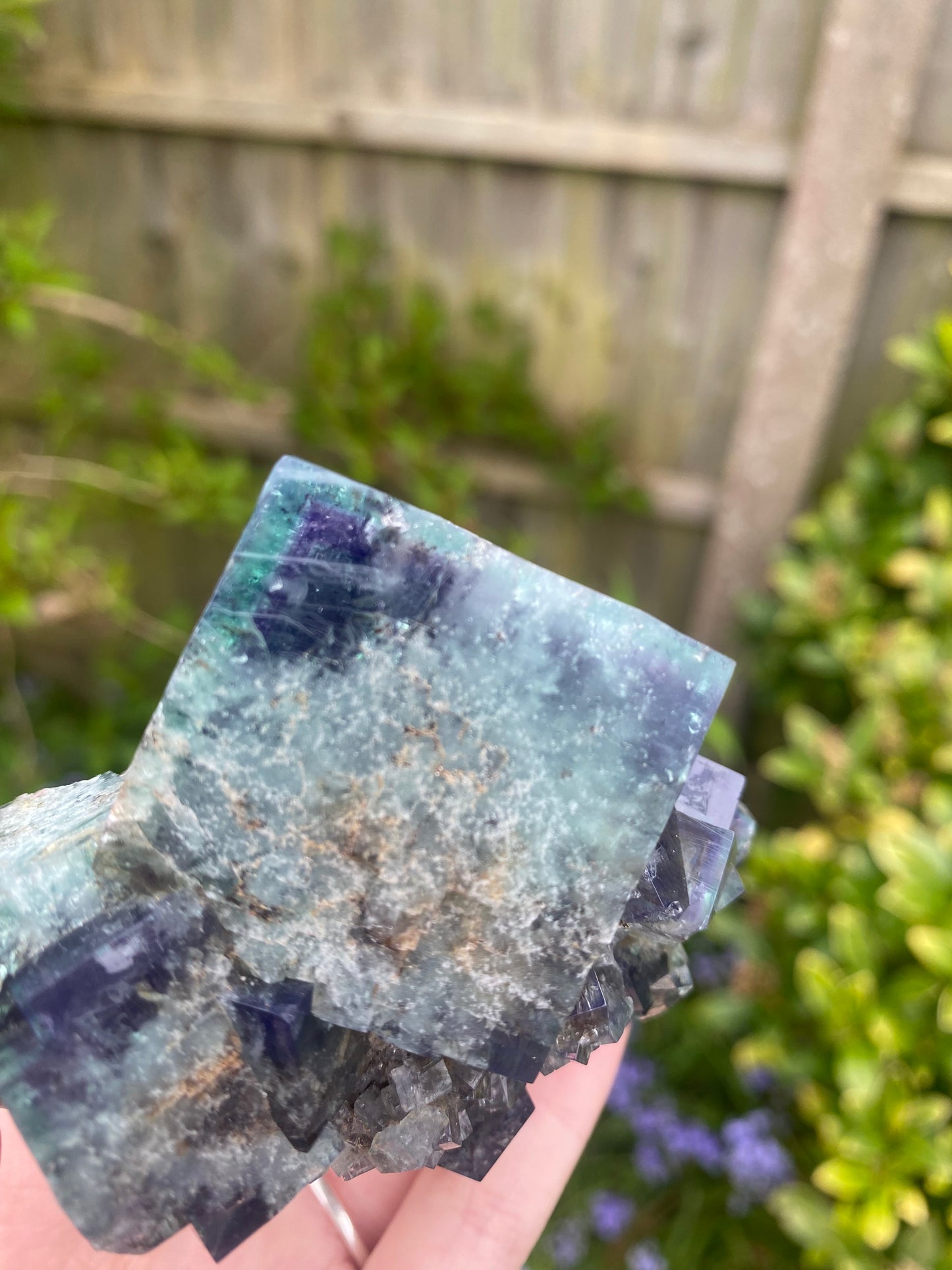 large Fairy Holes fluorite - Lady Annabella