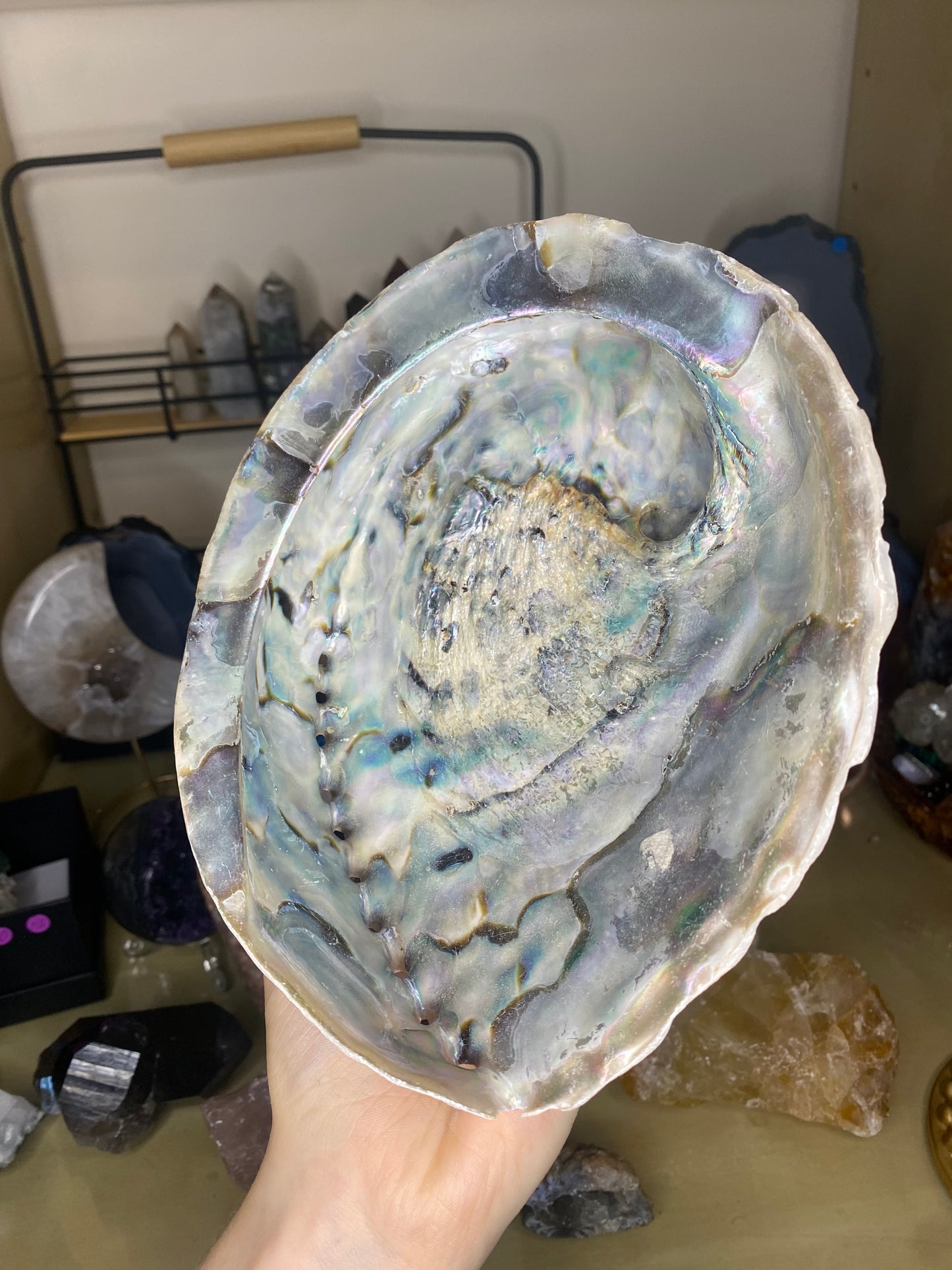 Shell bowl