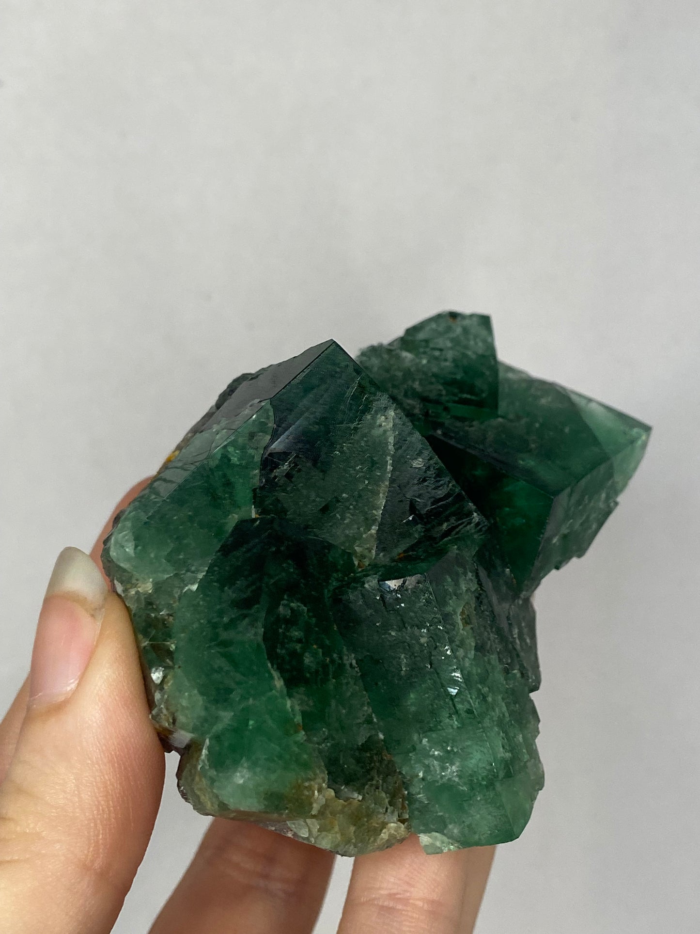 Truffle pig Fluorite - Diana Maria (black box)