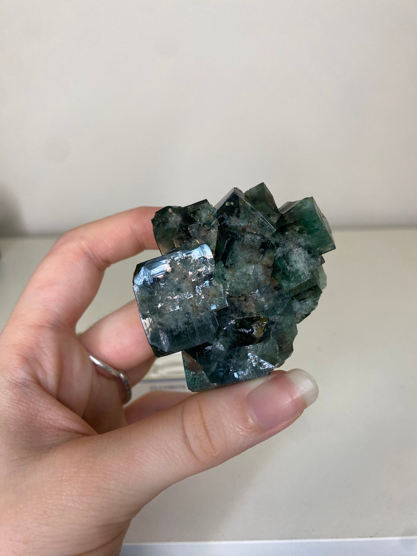 50 Year Fluorite - Rogerley Mine