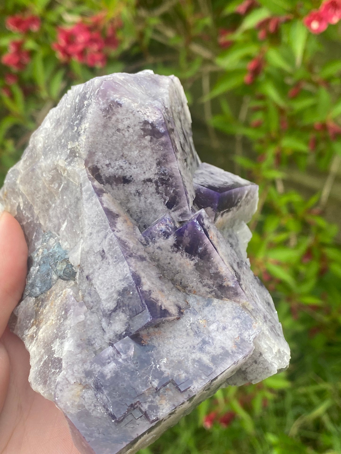 Greenlaws Mine Fluorite specimen