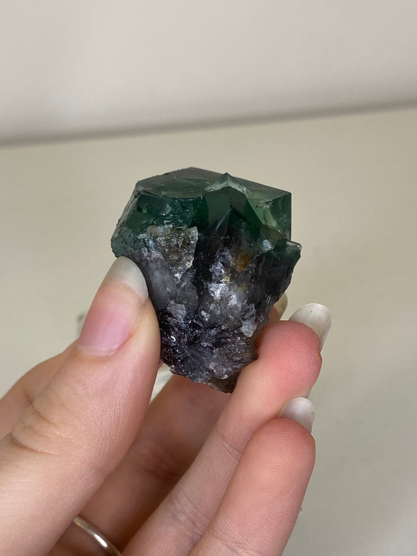 Truffle Pig Fluorite - Diana Maria