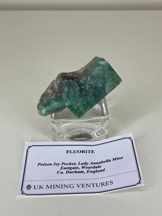 Poison Ivy Fluorite - Lady Annabella