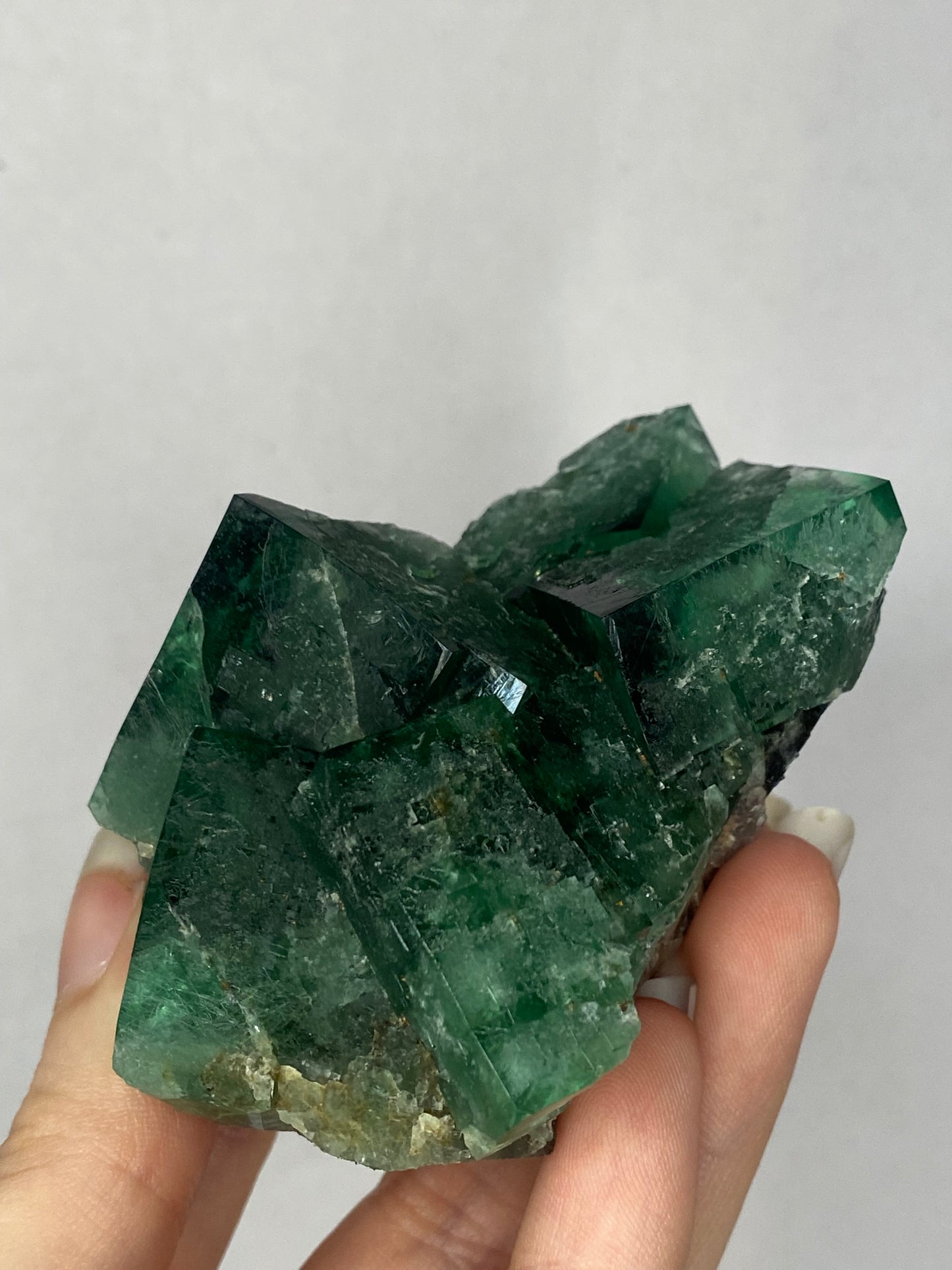 Truffle pig Fluorite - Diana Maria (black box)