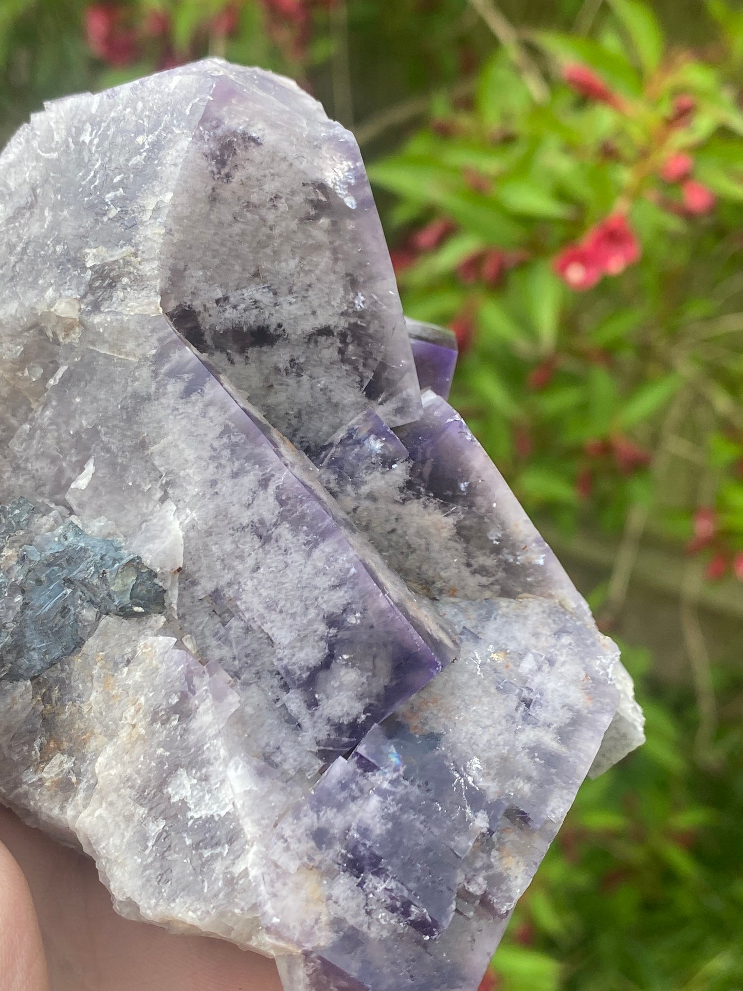 Greenlaws Mine Fluorite specimen