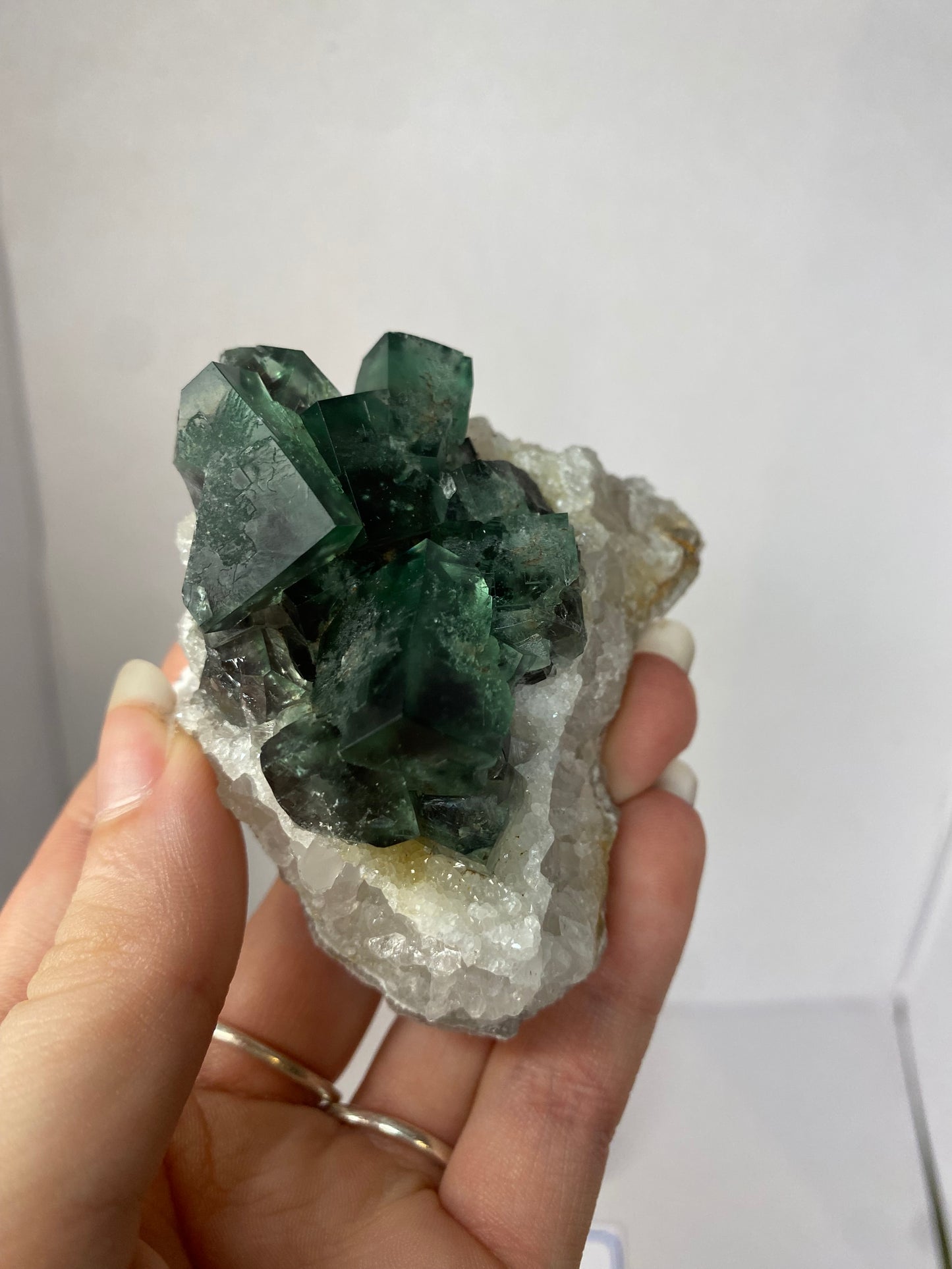 Naughty Gnome Fluorite - Diana Maria (black box)