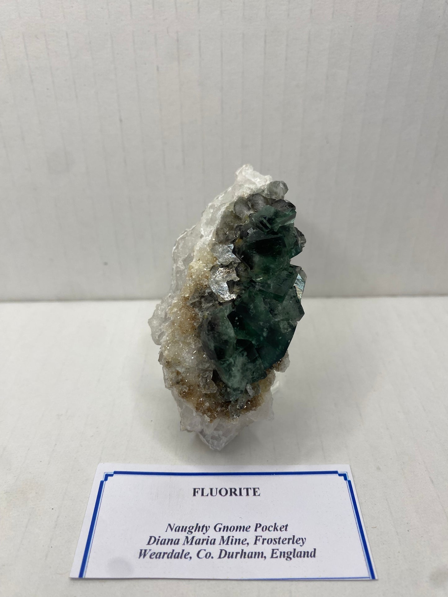 Naughty Gnome Fluorite - Diana Maria