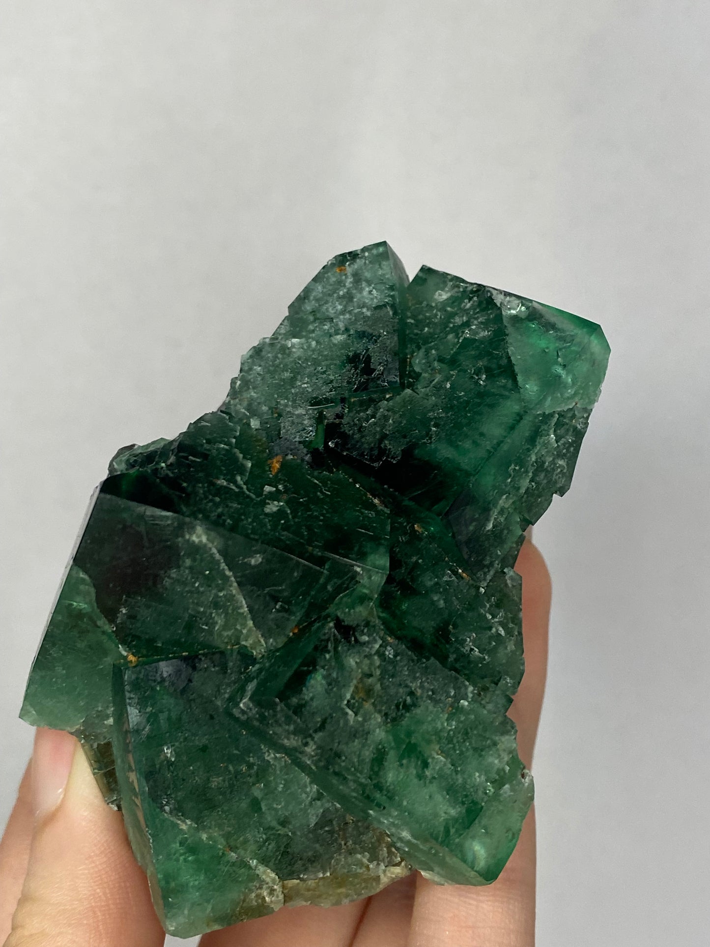 Truffle pig Fluorite - Diana Maria (black box)