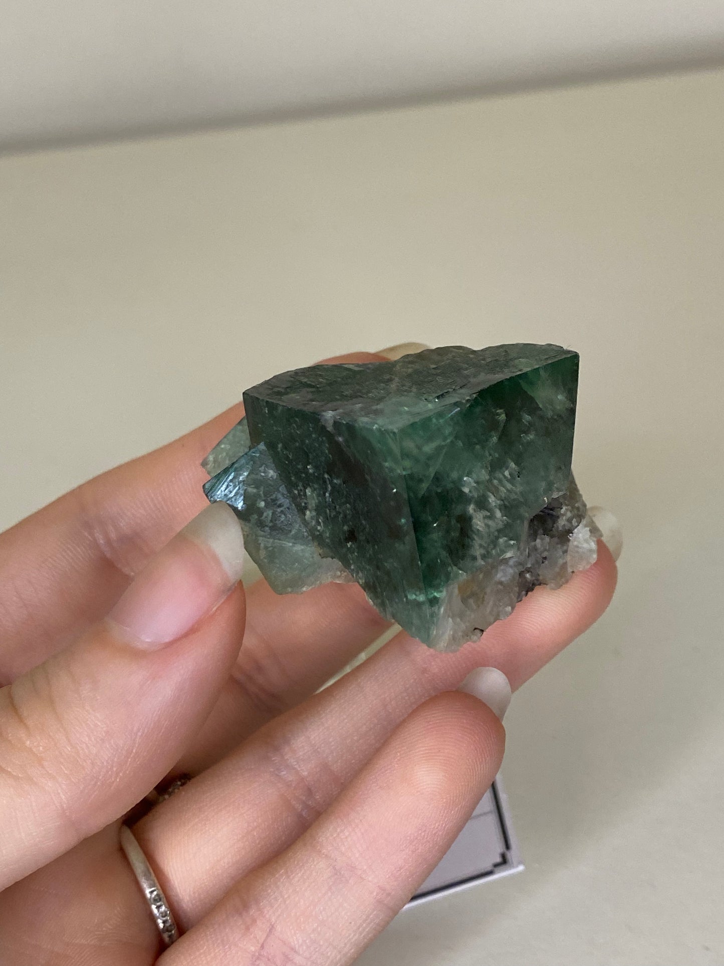 Poison Ivy Fluorite - Lady Annabella