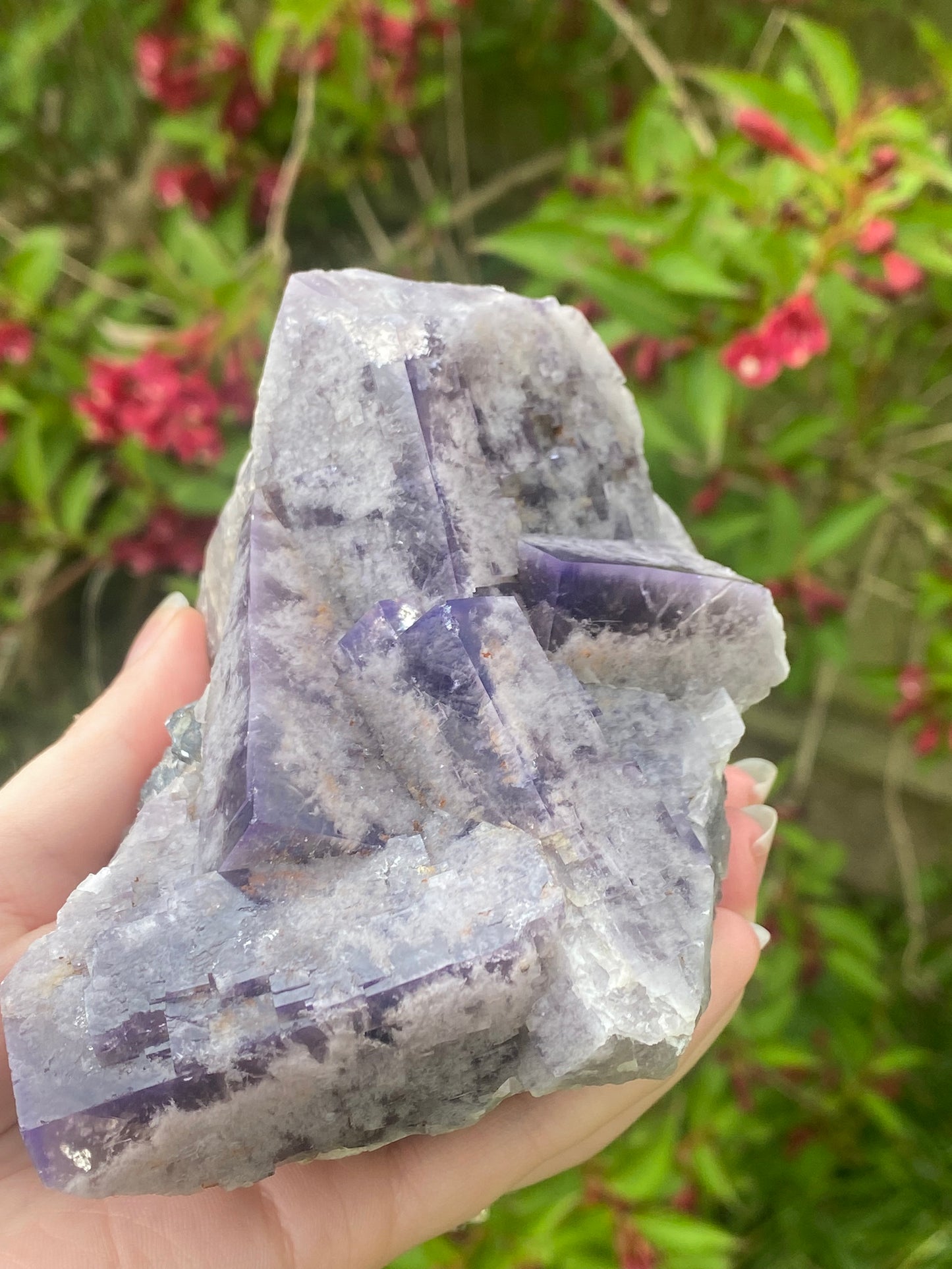 Greenlaws Mine Fluorite specimen