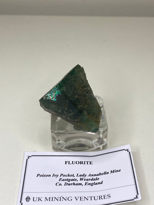 Poison Ivy Fluorite - Lady Annabella