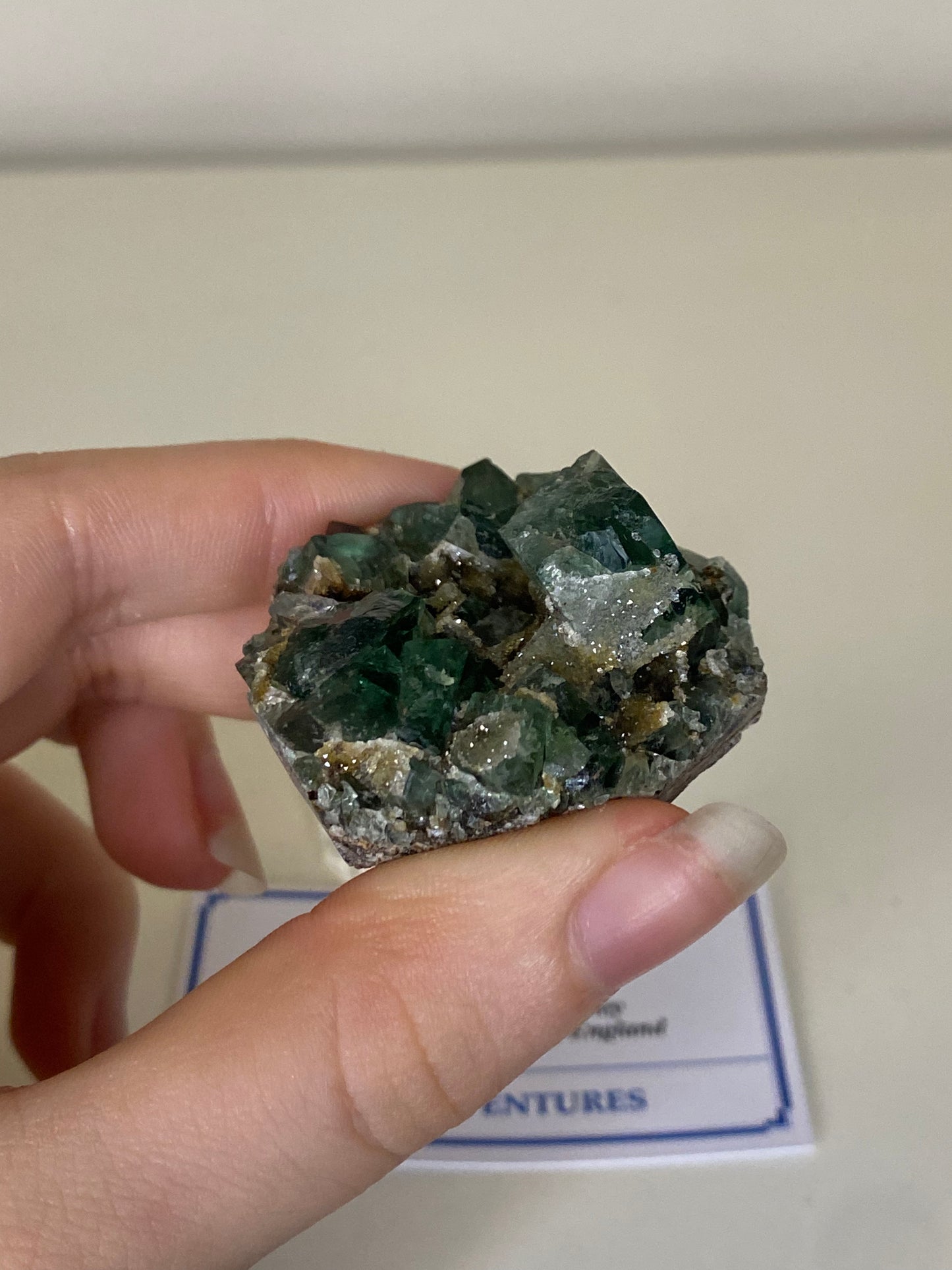 Druzy Dreams Fluorite - Rogerley Mine