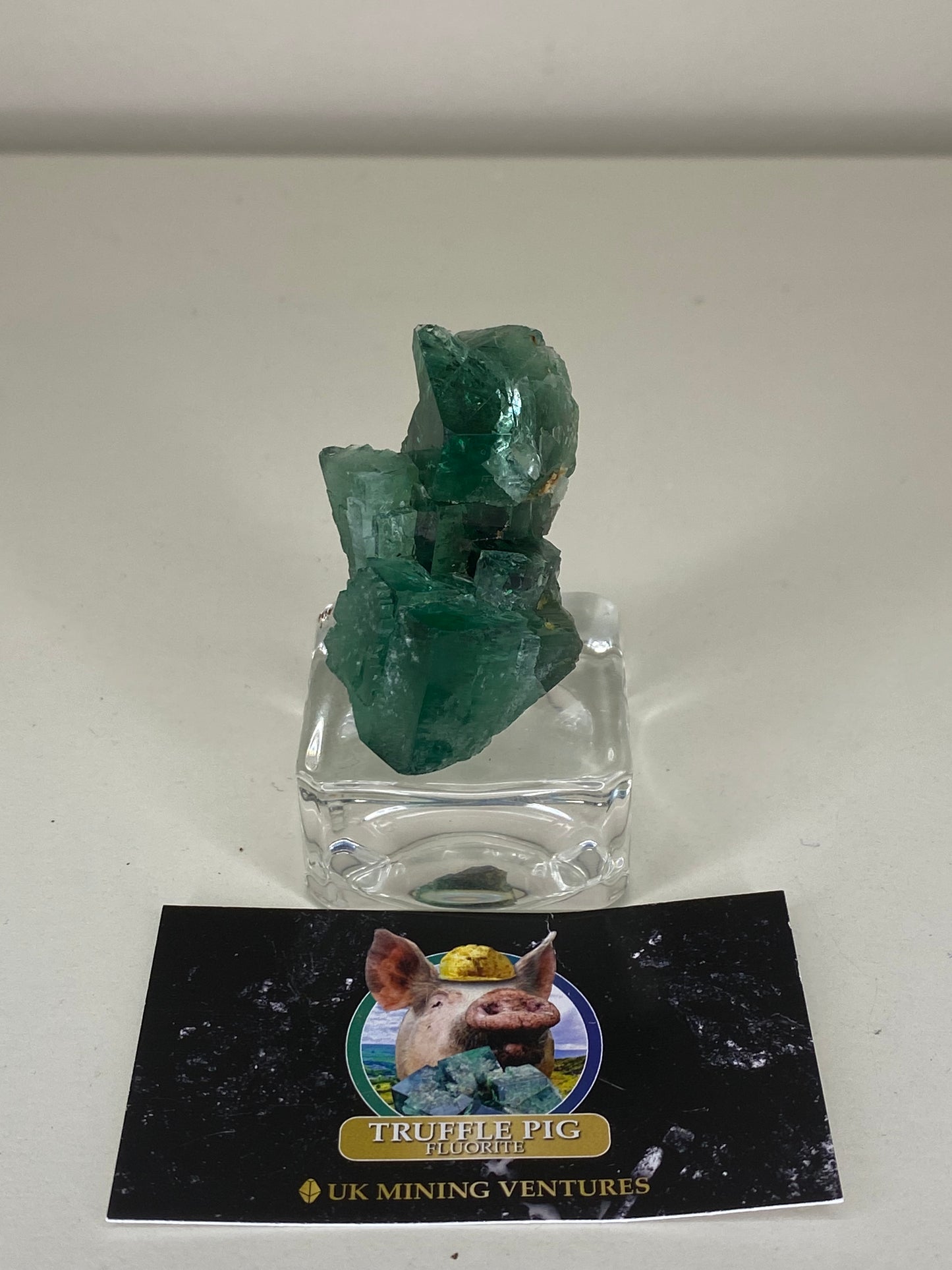 Truffle Pig Fluorite - Diana Maria