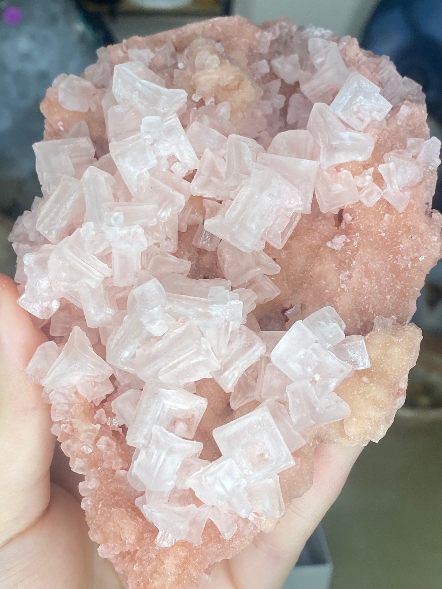 Pink halite large specimen