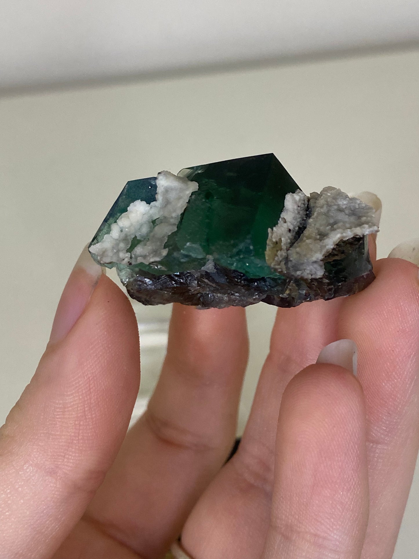 Truffle Pig Fluorite - Diana Maria