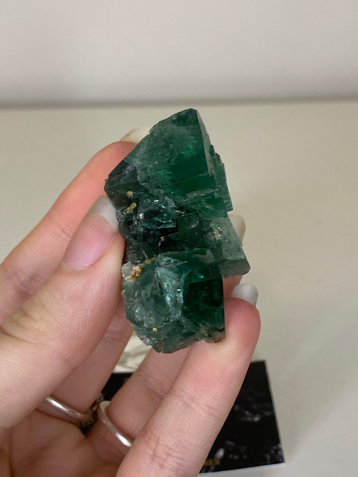 Truffle Pig Fluorite - Diana Maria