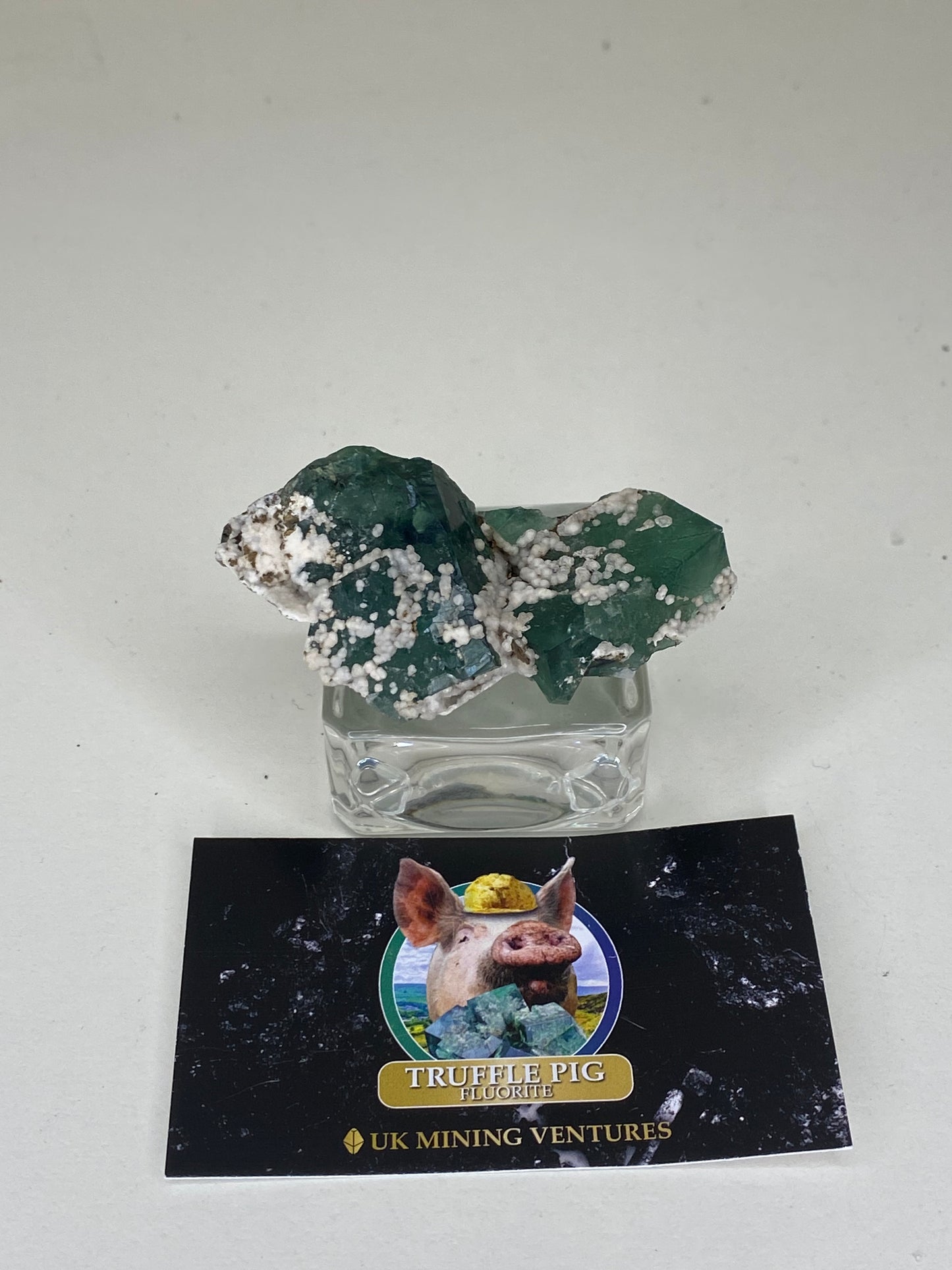 Truffle Pig Fluorite - Diana Maria