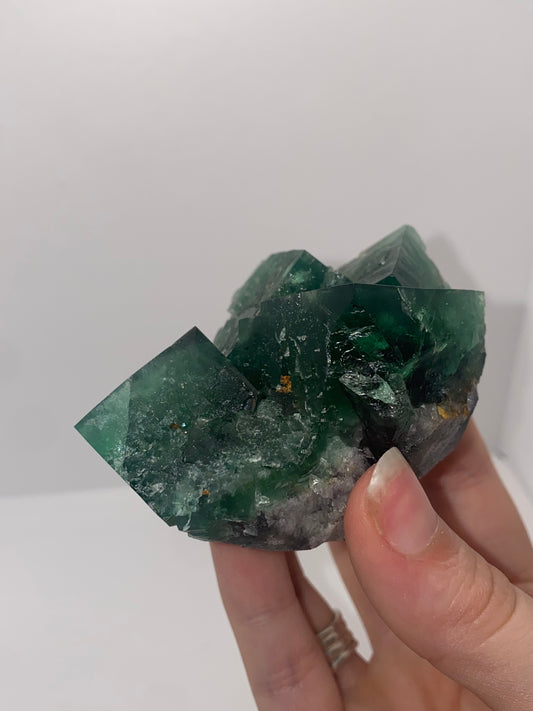 Truffle pig Fluorite - Diana Maria (black box)