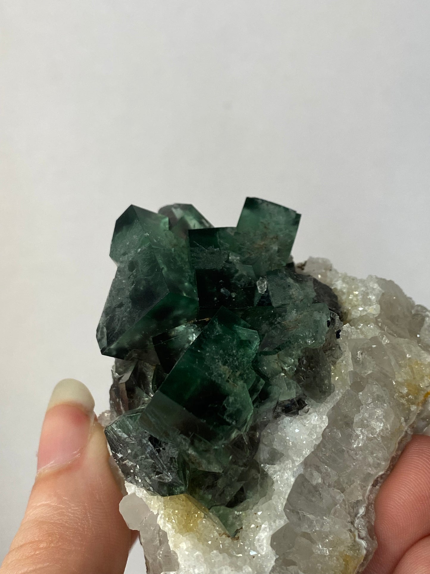 Naughty Gnome Fluorite - Diana Maria (black box)