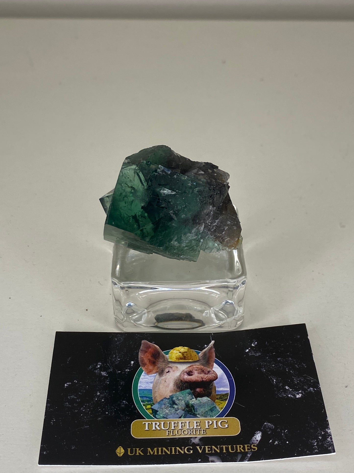 Truffle Pig Fluorite - Diana Maria