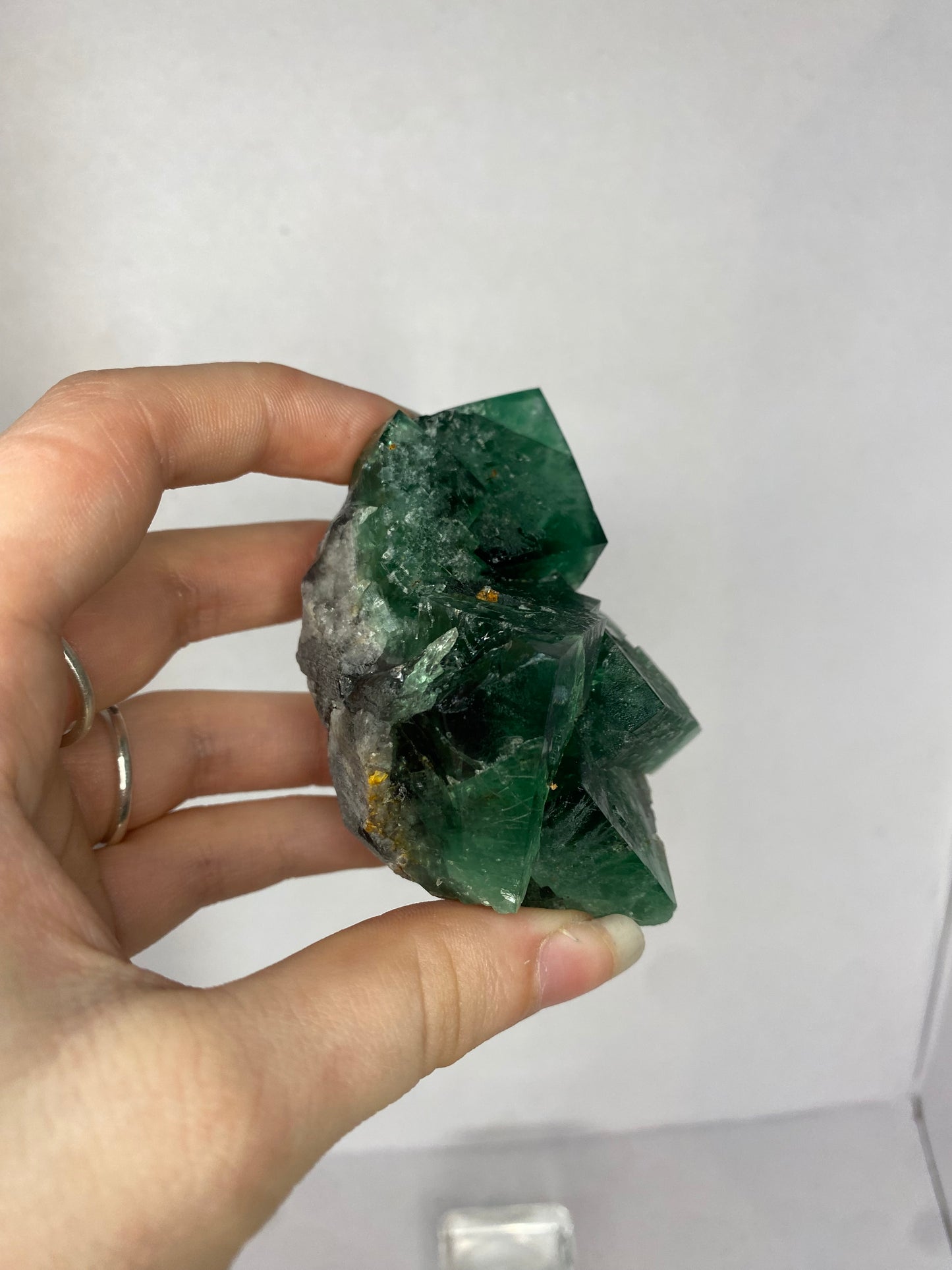 Truffle pig Fluorite - Diana Maria (black box)