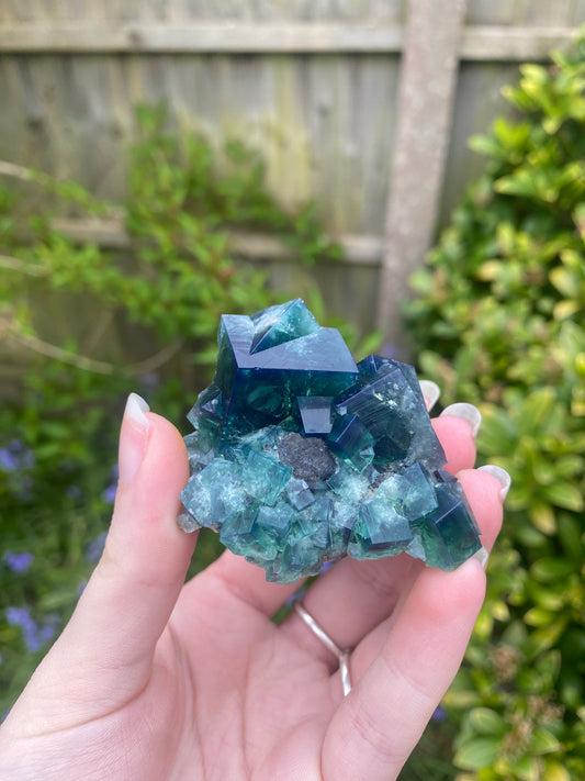 Greedy hog fluorite - Diana Maria