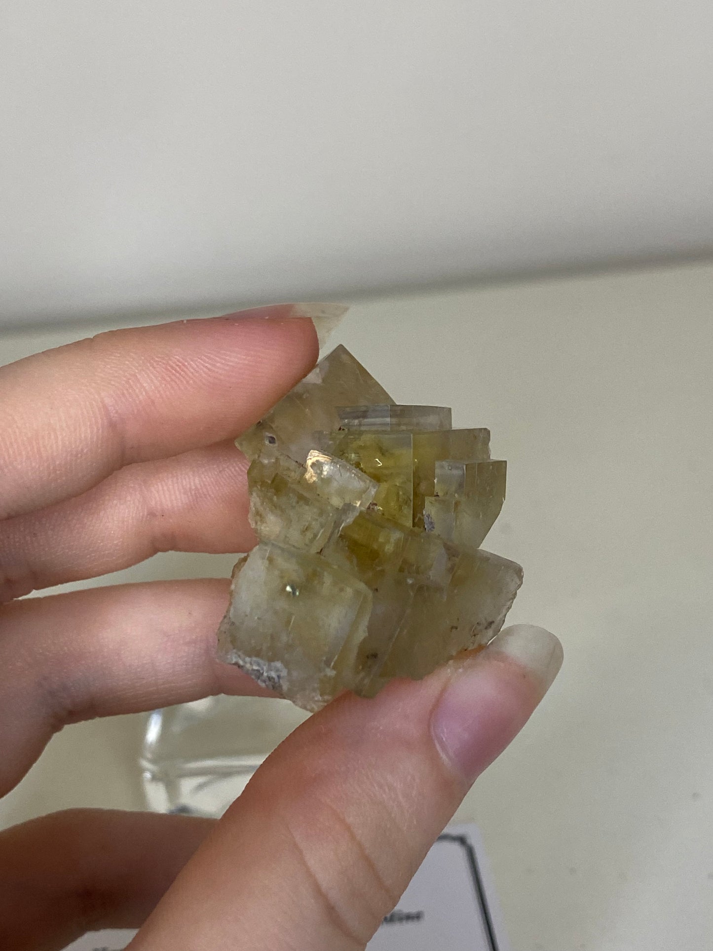 Harvest Pocket Fluorite cluster - Lady Annabella