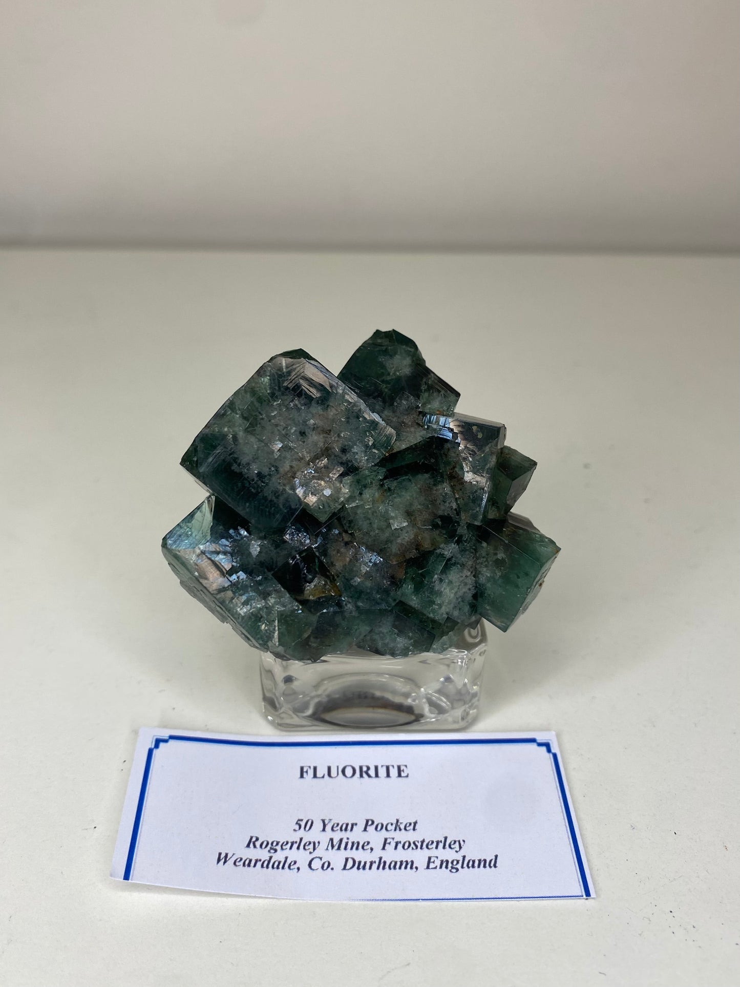 50 Year Fluorite - Rogerley Mine