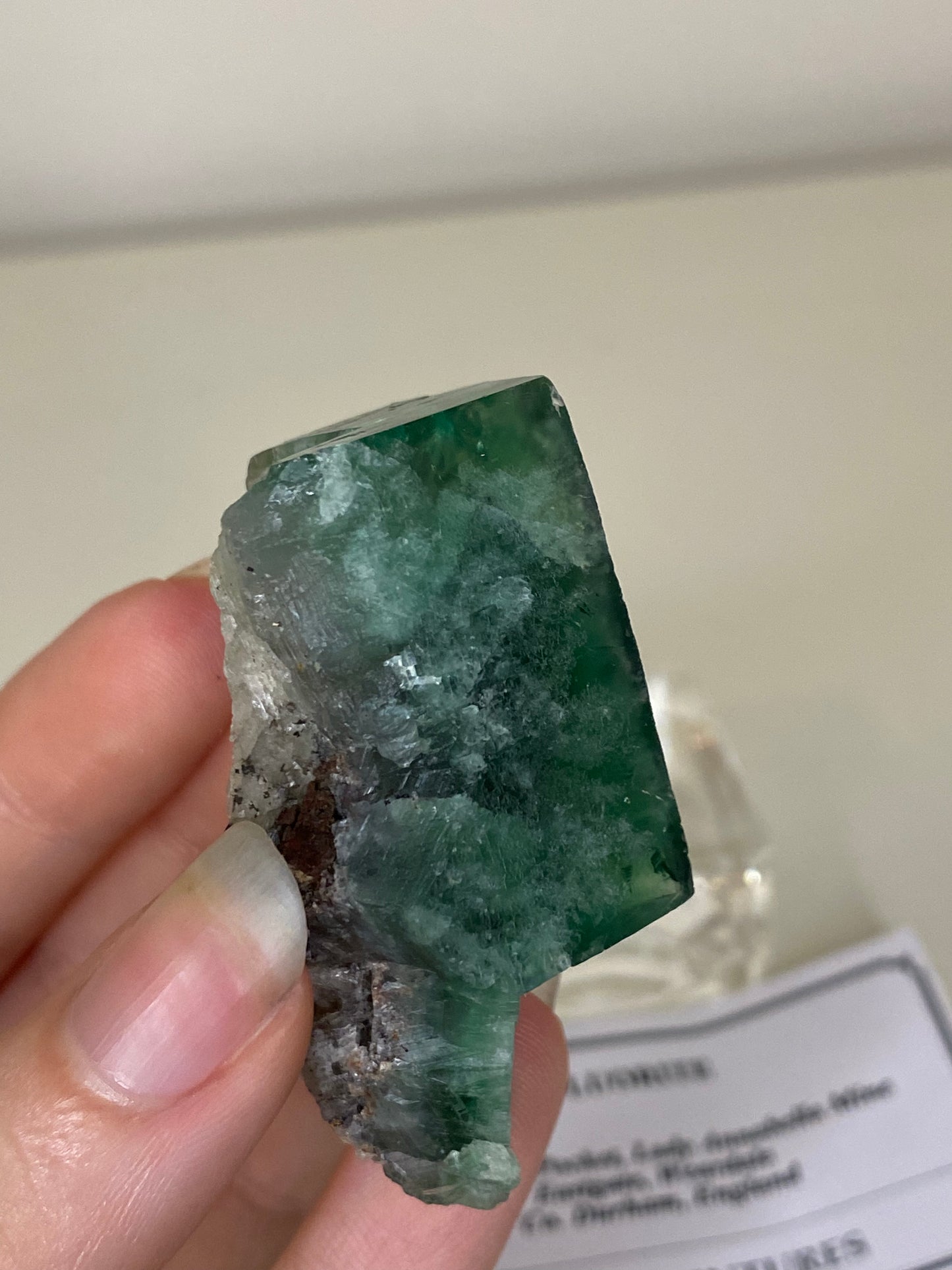 Poison Ivy Fluorite - Lady Annabella