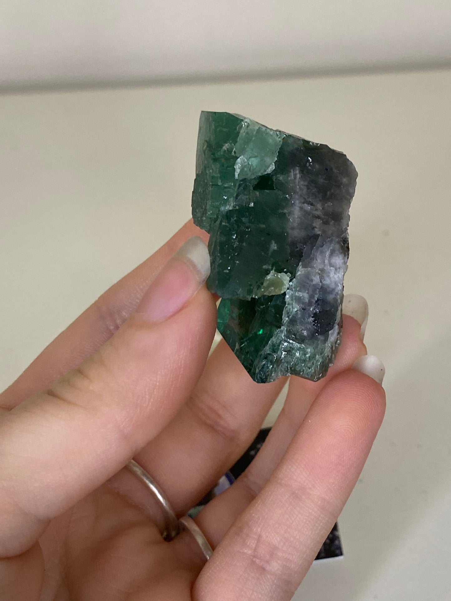 Truffle Pig Fluorite - Diana Maria