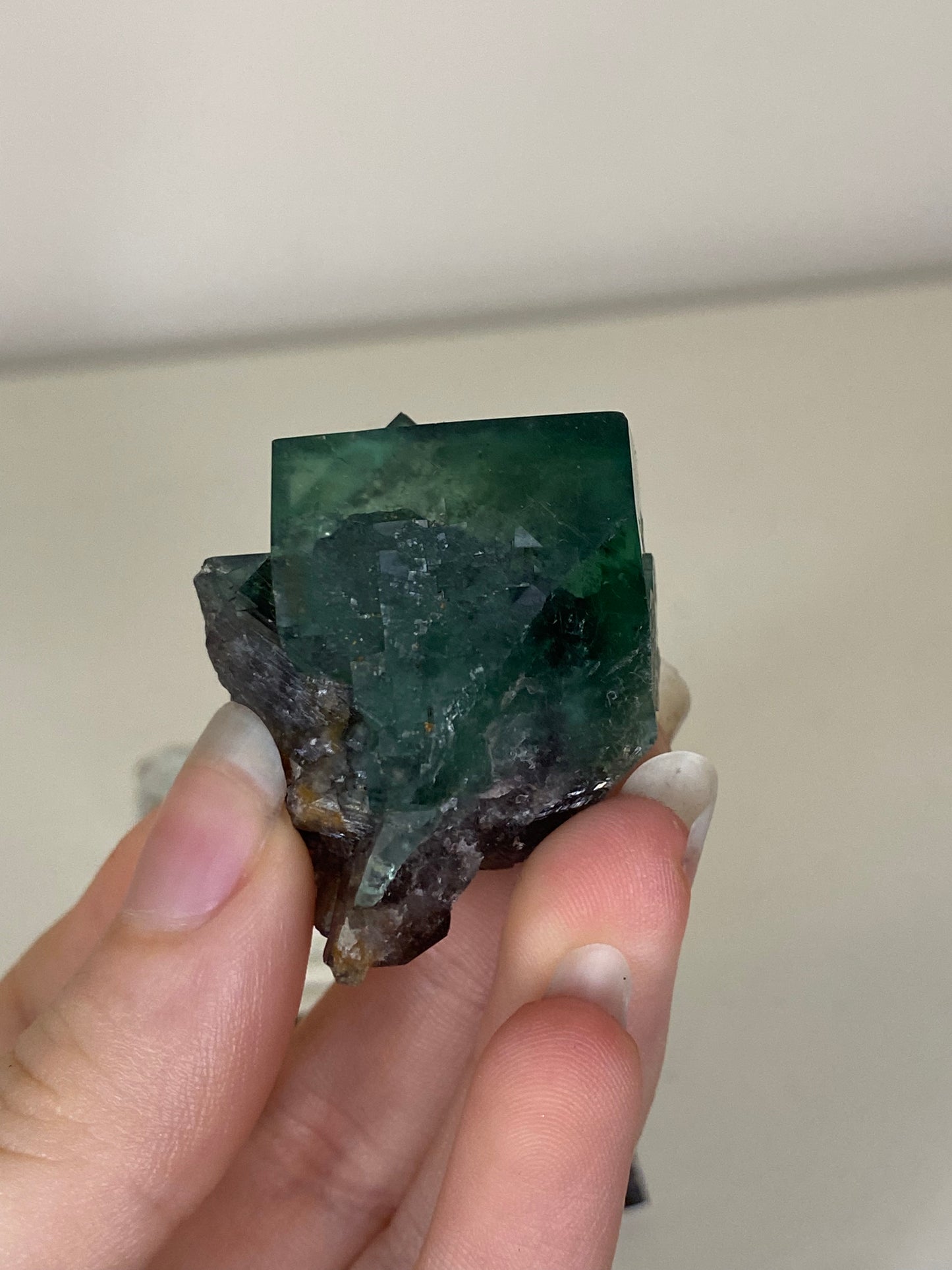 Truffle Pig Fluorite - Diana Maria