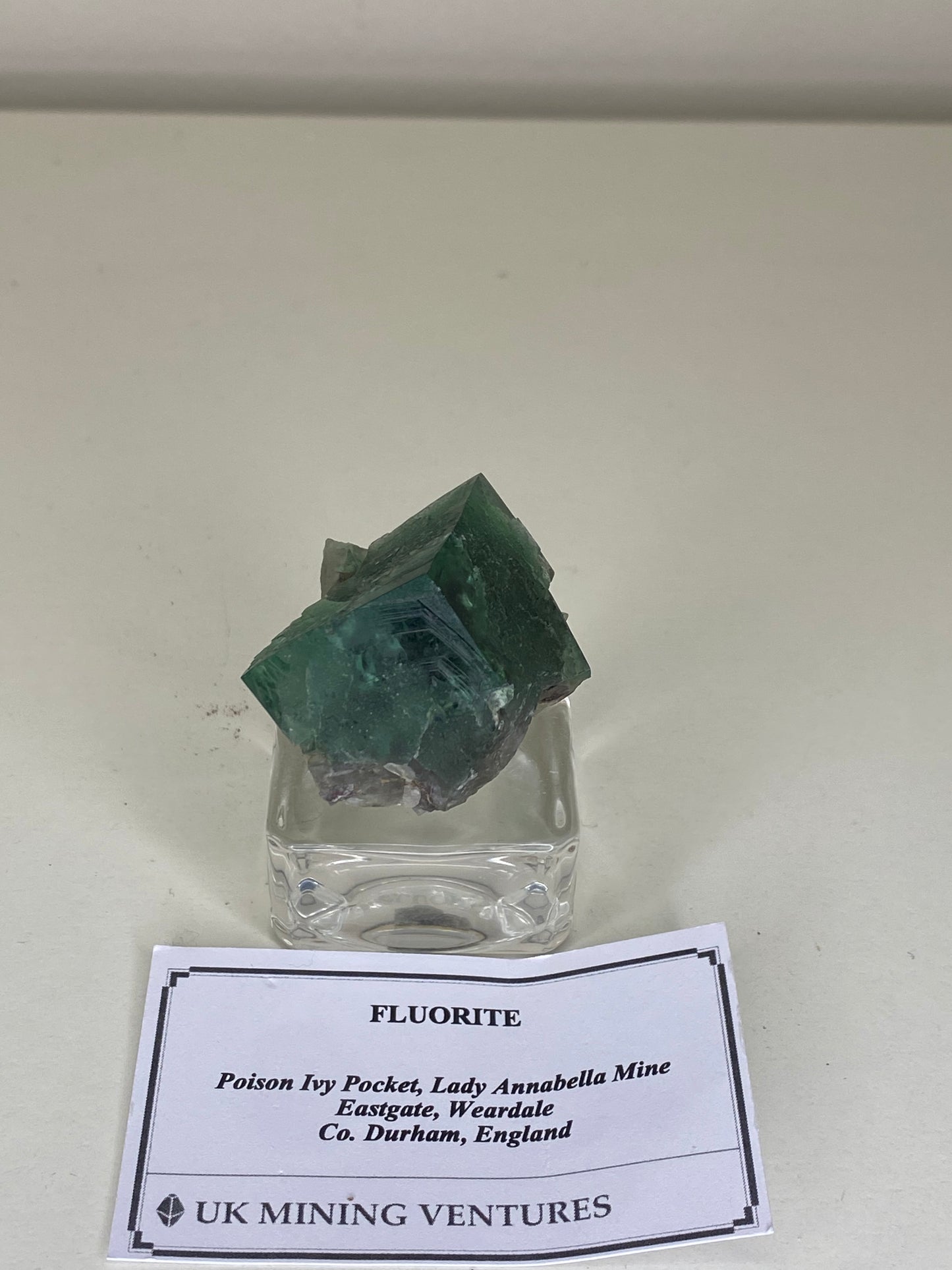 Poison Ivy Fluorite - Lady Annabella