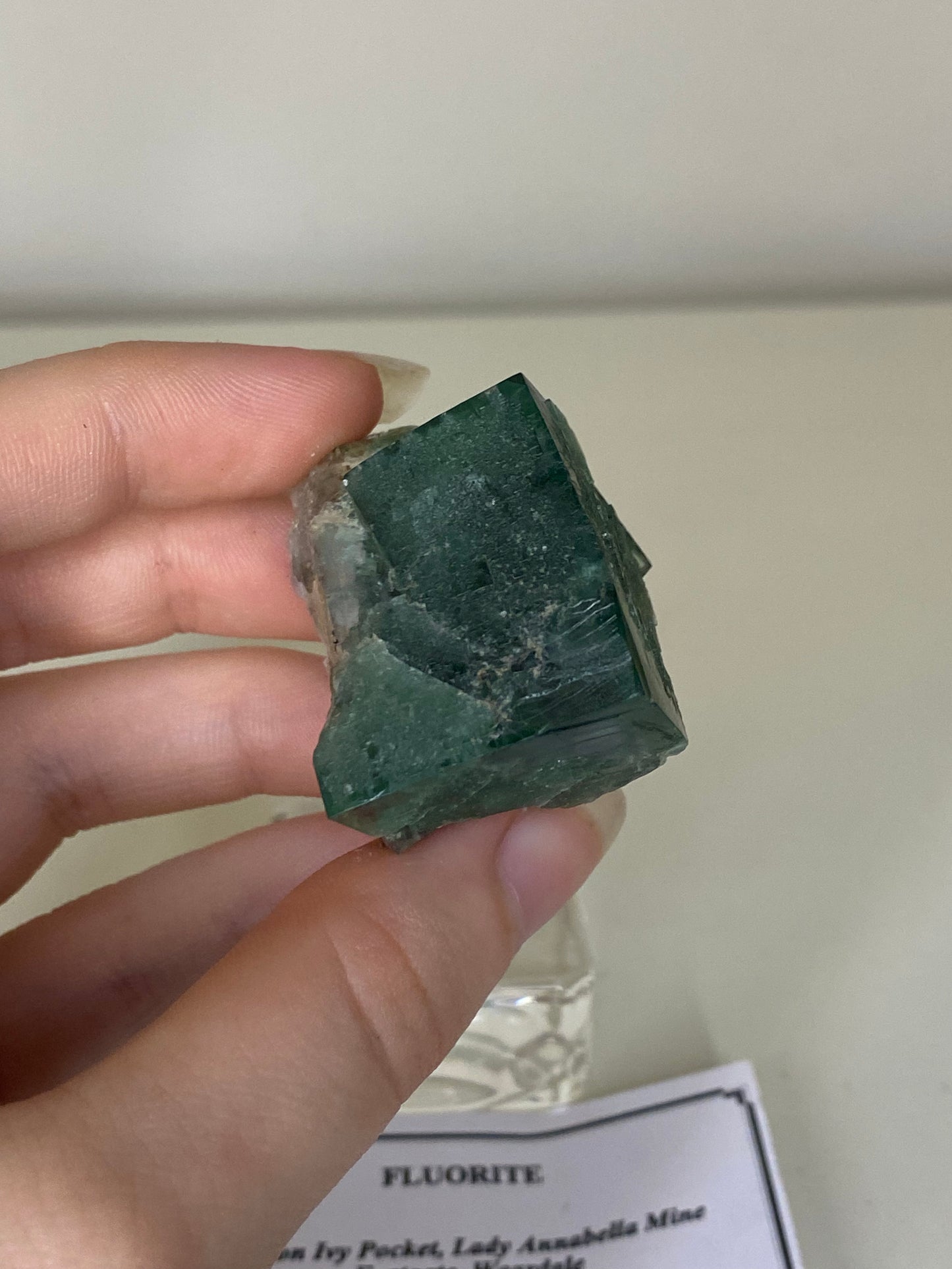 Poison Ivy Fluorite - Lady Annabella