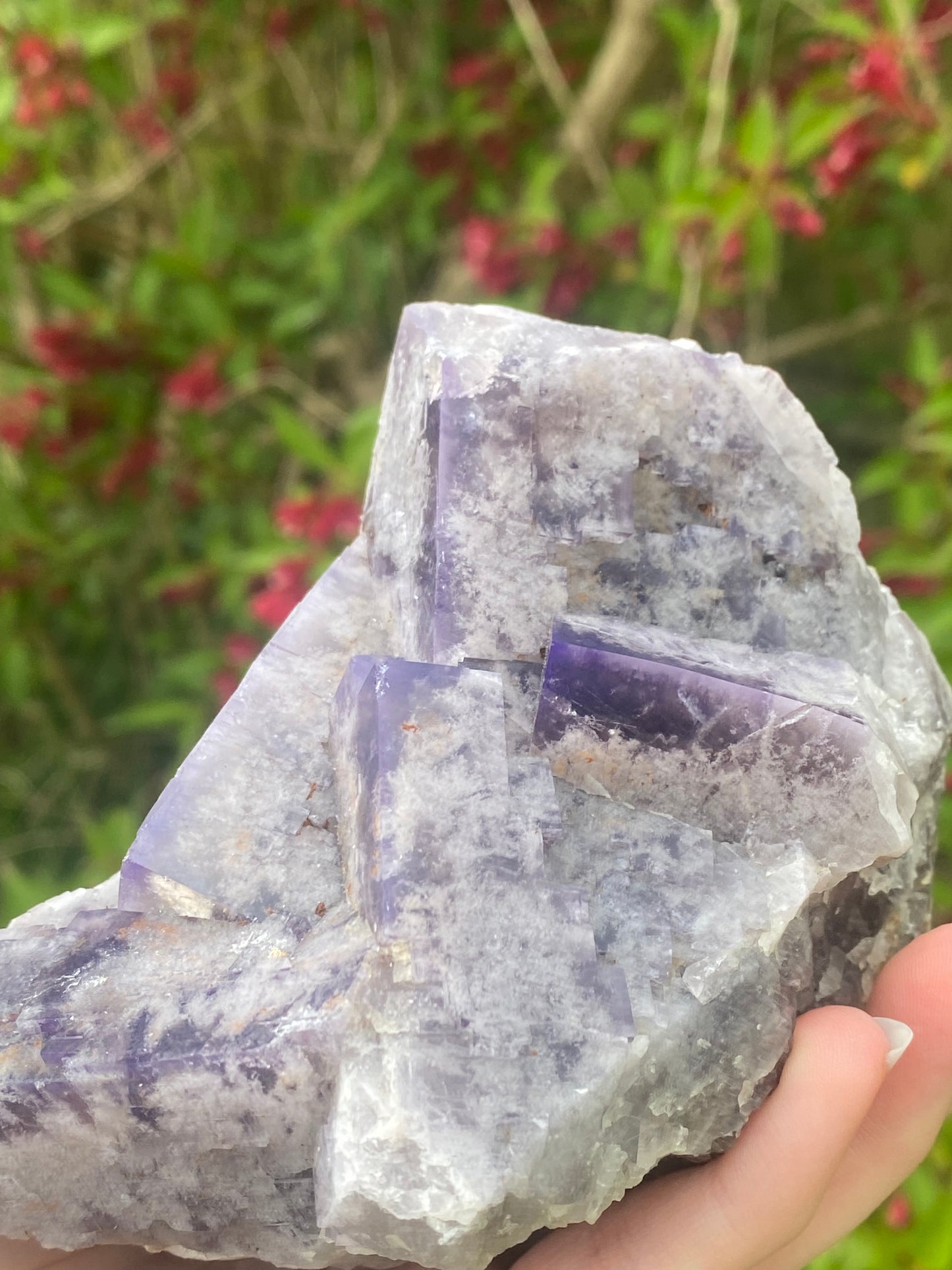 Greenlaws Mine Fluorite specimen