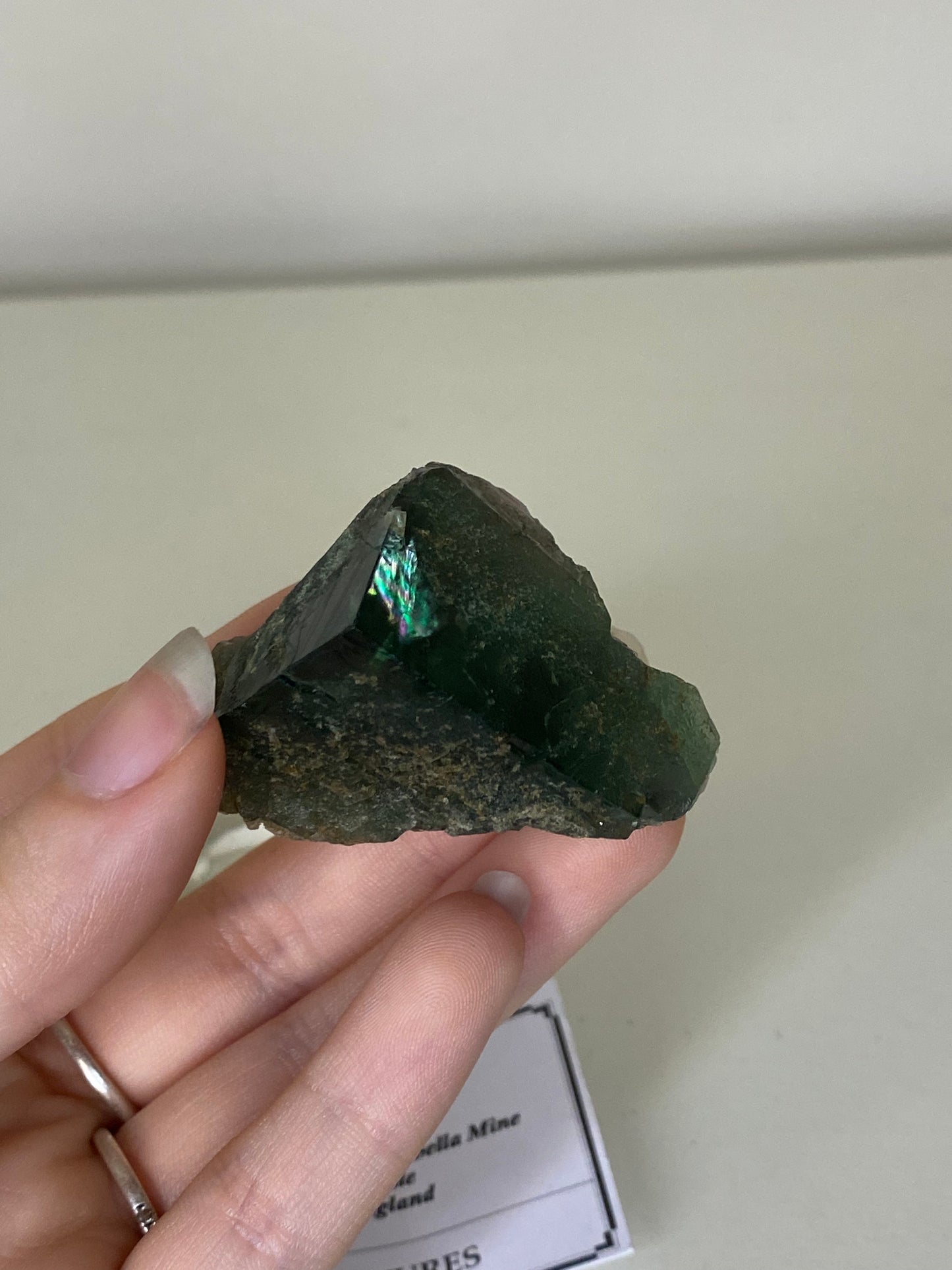 Poison Ivy Fluorite - Lady Annabella