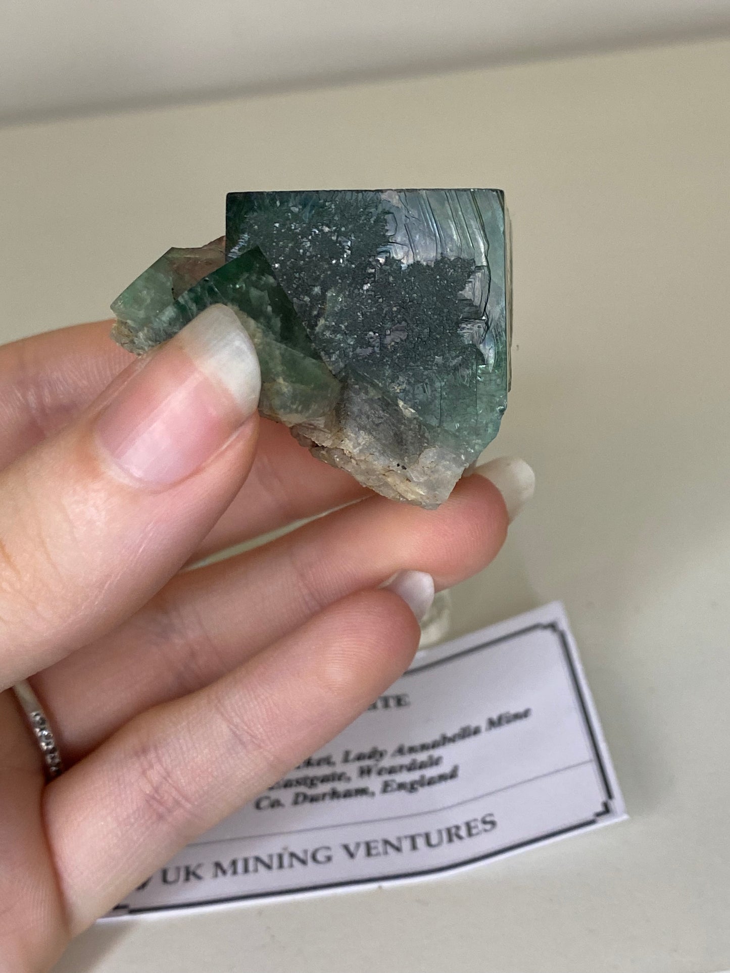 Poison Ivy Fluorite - Lady Annabella