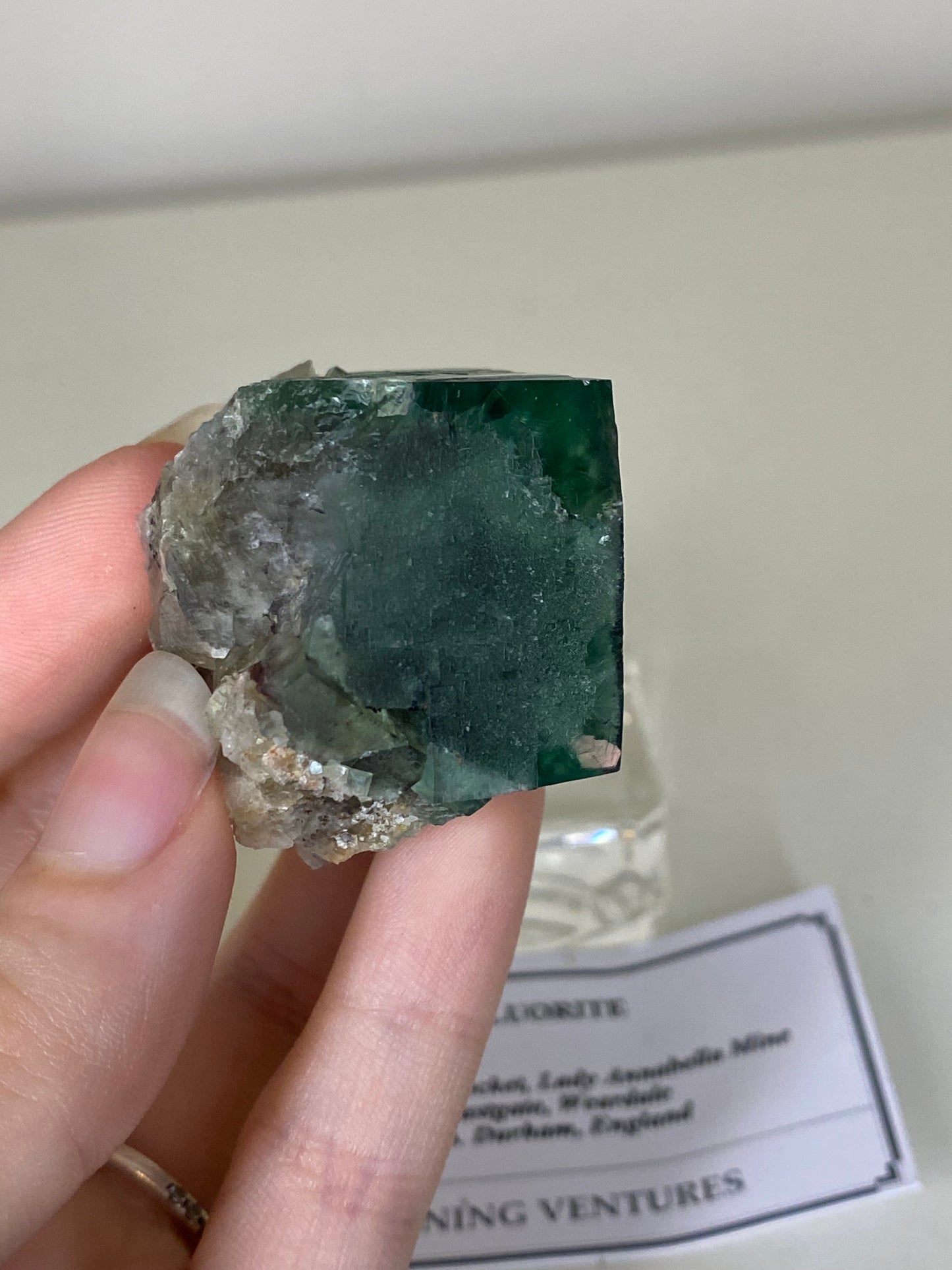 Poison Ivy Fluorite - Lady Annabella