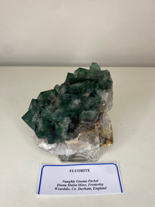 Naughty Gnome Fluorite - Diana Maria